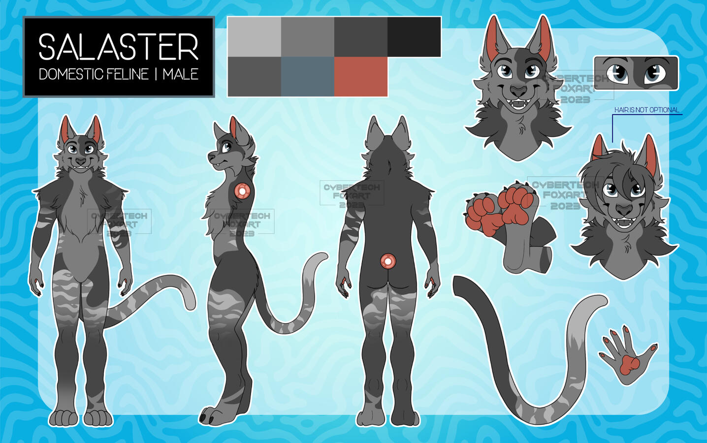 Reference sheet comm for Salaster